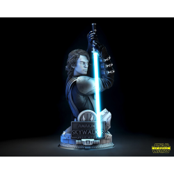 SW Anakin Sculpture & Bust