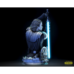 SW Anakin Sculpture & Bust