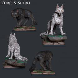 Kuro & Shiro