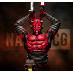 SW - Darth Maul Statue & Bust