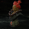 Street Fighter - GoukiAkuma Bust