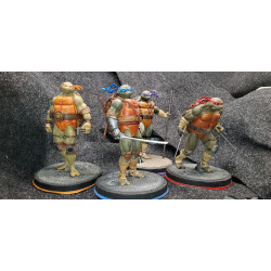 TMNT - The four turtles pack