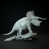 Triceratops old bull