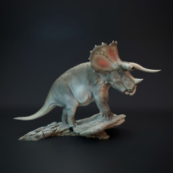 Triceratops old bull