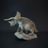 Triceratops old bull