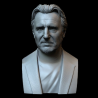 Liam Neeson Bust