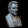 Liam Neeson Bust