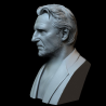 Liam Neeson Bust