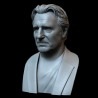 Liam Neeson Bust