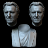 Liam Neeson Bust