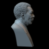 Morgan Freeman Bust