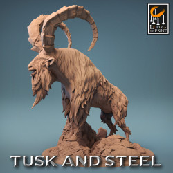 Collection Tusk & Steel