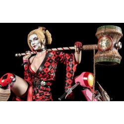 Harley Quinn Ninja