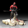 Red Hood Samurai