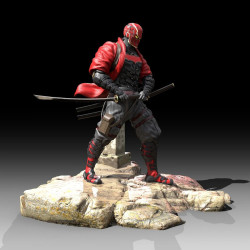 Red Hood Samurai