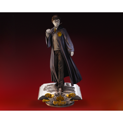 Harry Potter Statue