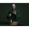 Voldemort Bust