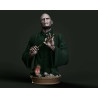 Voldemort Bust