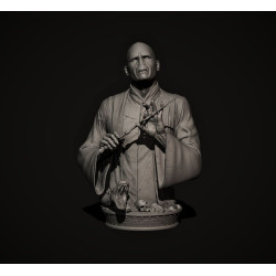 Voldemort Bust