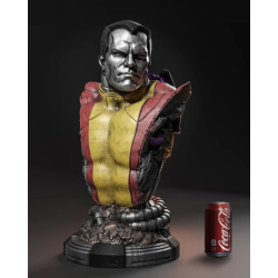 Colossus Bust