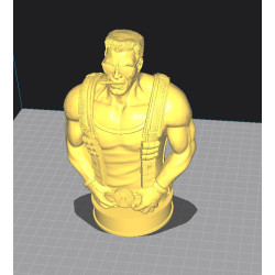 Duke Nukem Bust