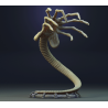 Alien - Facehugger